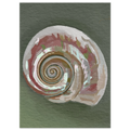 4339f286-1ff9-4a7c-adf4-2d04b12bfbd4