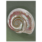 4339f286-1ff9-4a7c-adf4-2d04b12bfbd4